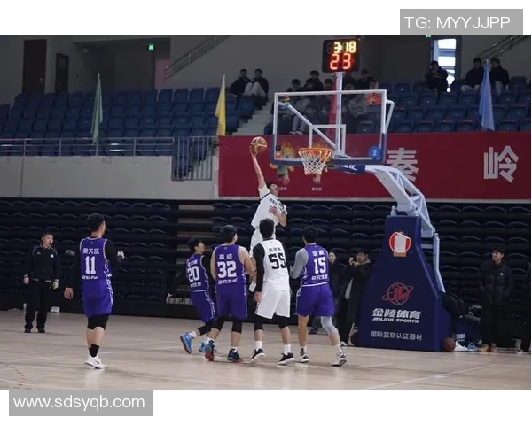 最新篮球战术TOP10：西安篮球队领跑