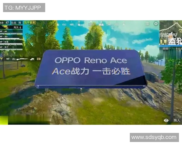 和平精英评论：TES的进攻得失