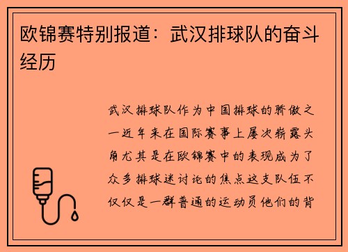 欧锦赛特别报道：武汉排球队的奋斗经历